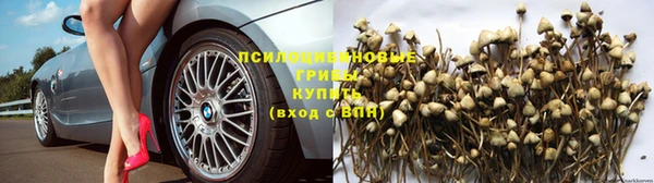 твердый Вязьма