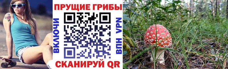 Галлюциногенные грибы прущие грибы  Купить закладки  Солнечногорск 