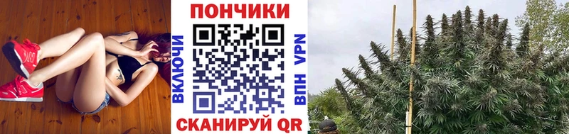 Марихуана Ganja  Купить  Солнечногорск 